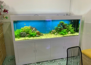 Lật hồ 180*25*90 bố cục lũa và suối cát