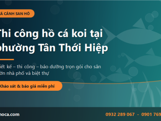 Thi công hồ cá koi tại phường Tân Thới Hiệp - Sân vườn đẳng cấp cho nhà phố và biệt thự