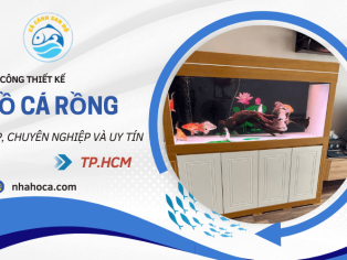 Hồ Cá Phường Tân Thới Hiệp Q12: Thiết Kế & Lắp Đặt Trọn Gói Chuyên Nghiệp