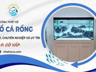 Thi công hồ cá rồng phường Gò Vấp