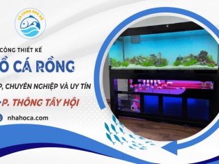 Thi công hồ cá rồng phường Thông Tây Hội