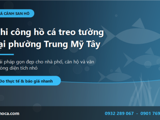 Thi công hồ cá treo tường tại phường Trung Mỹ Tây - Giải pháp gọn đẹp cho nhà phố nhỏ
