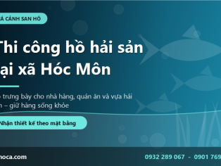 Thi công hồ hải sản tại xã Hóc Môn - Giải pháp trưng bày cho nhà hàng và vựa hải sản