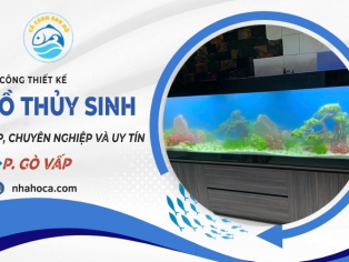 Thi công hồ thủy sinh phường Gò Vấp