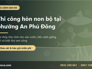 Thi công hòn non bộ tại phường An Phú Đông - Sơn thủy hữu tình cho sân vườn ven sông