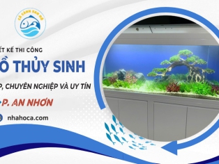 Thiết kế hồ thủy sinh phường An Nhơn