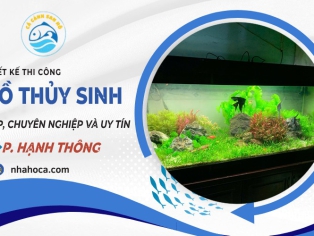 Thiết kế hồ thủy sinh phường Hạnh Thông