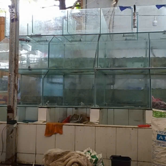 Mẫu hồ hải sản - D5