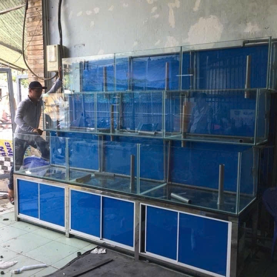 Mẫu hồ hải sản - D6
