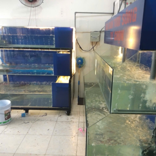 Mẫu hồ hải sản - D3