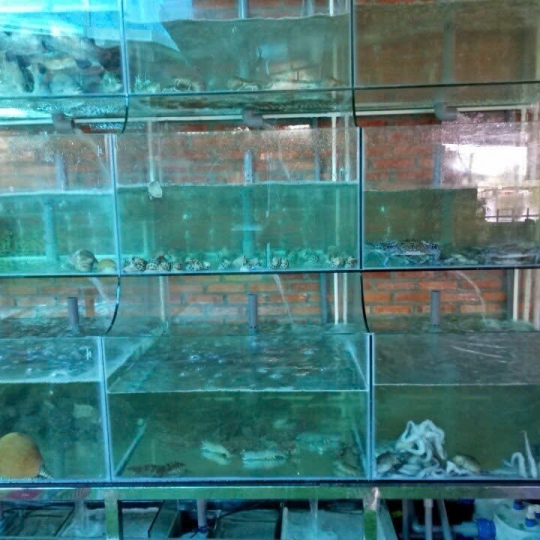 Mẫu hồ hải sản - D9