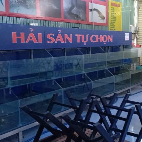 Mẫu hồ hải sản - D10