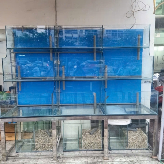 Mẫu hồ hải sản - D12
