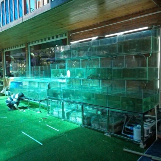 Mẫu hồ hải sản - D14