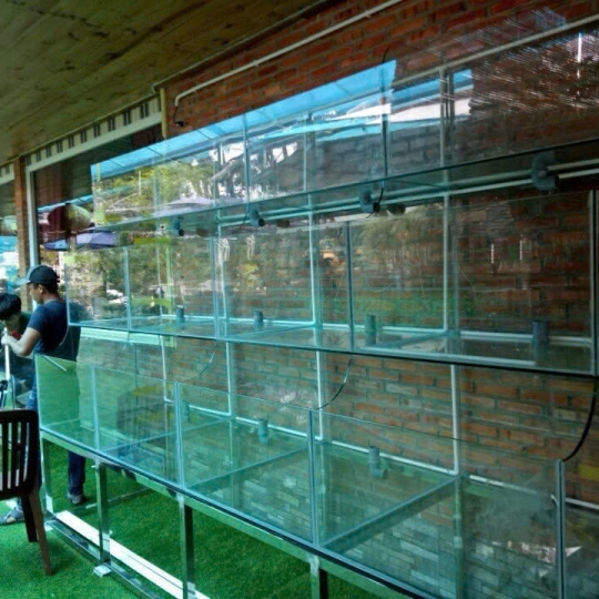 Mẫu hồ hải sản - D16