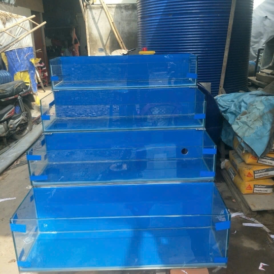 Mẫu hồ hải sản - D22