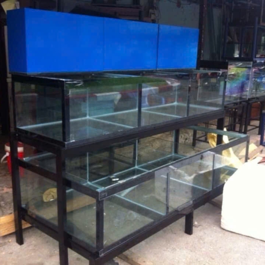 Mẫu hồ hải sản - D19