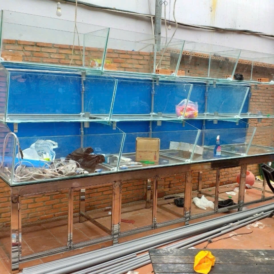 Mẫu hồ hải sản - D1