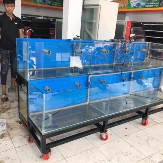 Mẫu hồ hải sản - D21