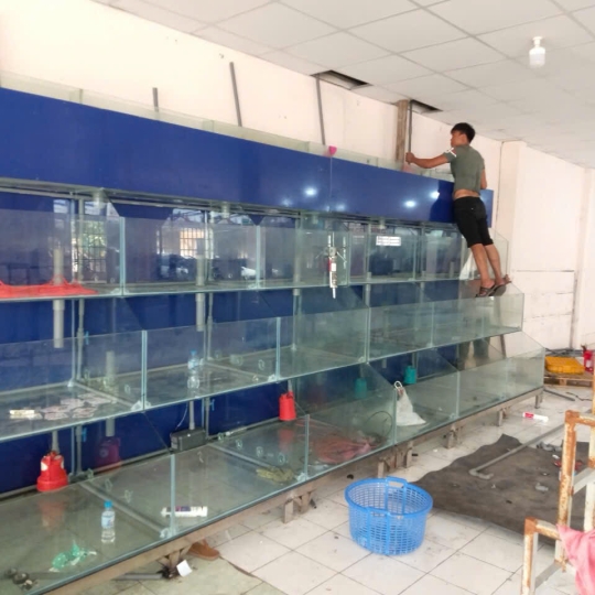 Mẫu hồ hải sản - D20