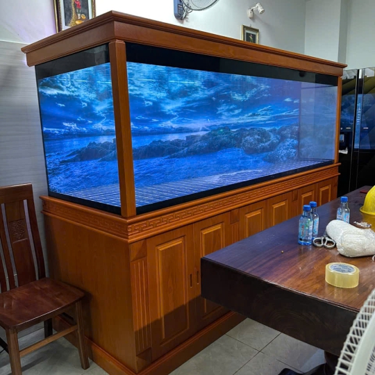 Mẫu hồ cá rồng - B20