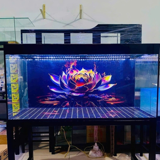Mẫu hồ cá rồng - B18