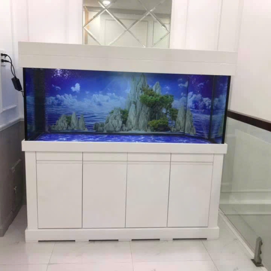Mẫu hồ cá rồng - B16