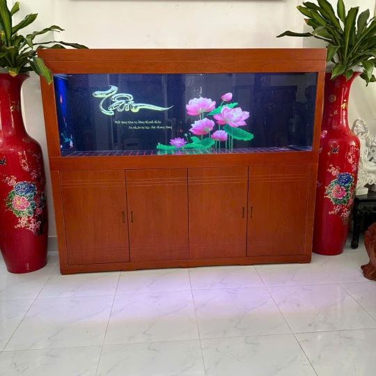 Mẫu hồ cá rồng - B11
