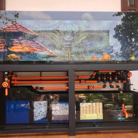 Mẫu hồ cá rồng - B19