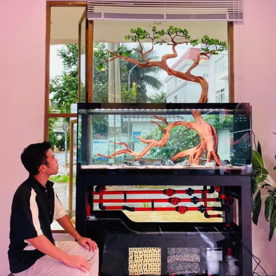 Mẫu hồ cá rồng - B4