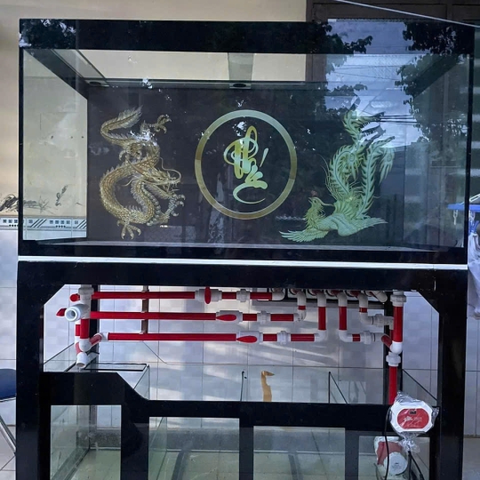 Mẫu hồ cá rồng - B7