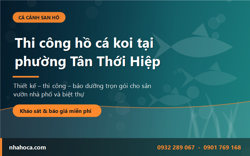 Thi công hồ cá koi tại phường Tân Thới Hiệp - dịch vụ trọn gói từ cửa hàng Cá Cảnh San Hô