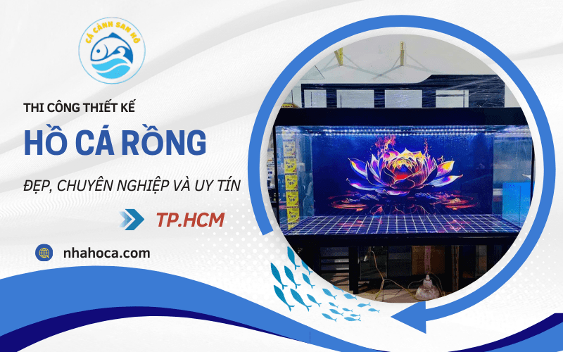 hồ cá rồng