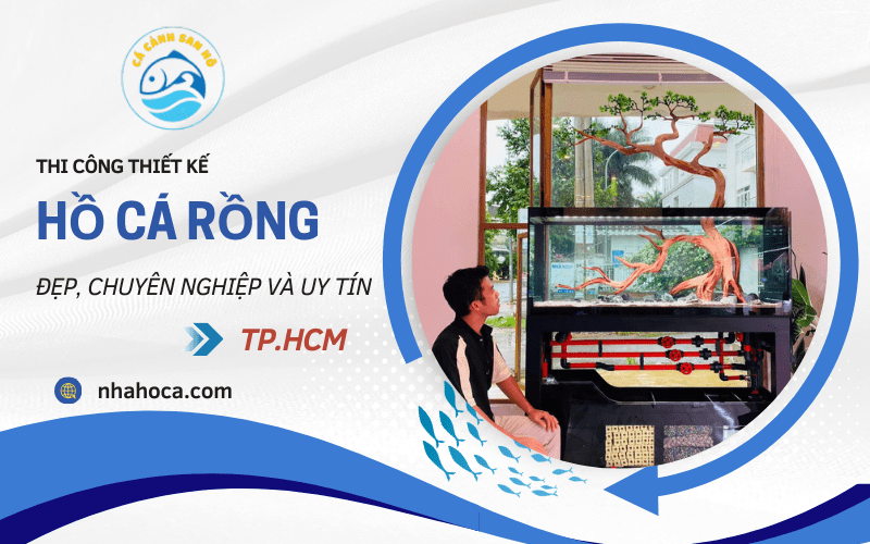 hồ cá rồng