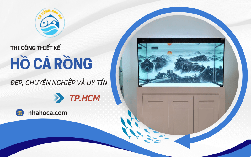 Hồ cá rồng
