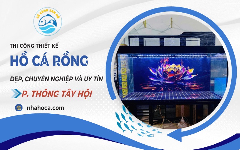 Hồ cá rồng phường Thông Tây Hội