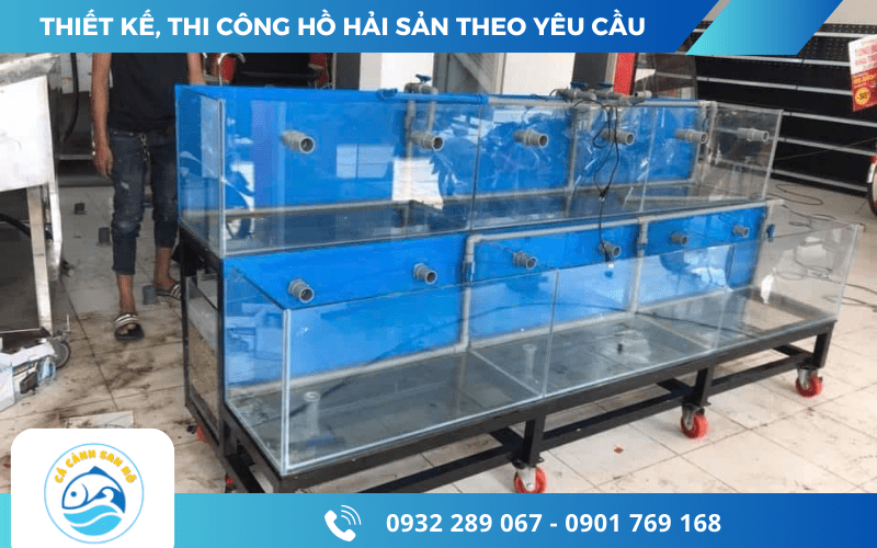 thi công hồ hải sản