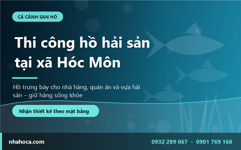 Thi công hồ hải sản tại xã Hóc Môn - hồ trưng bày cho nhà hàng, quán ăn và vựa hải sản