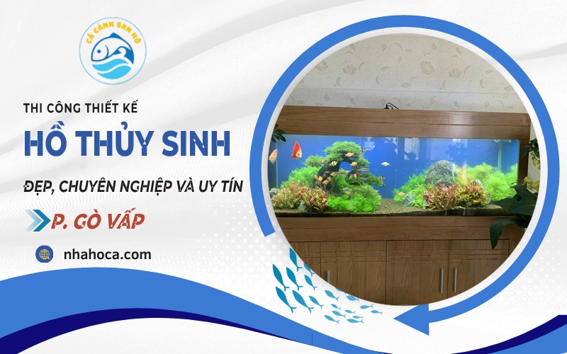 Thi công hồ thủy sinh phường Gò Vấp