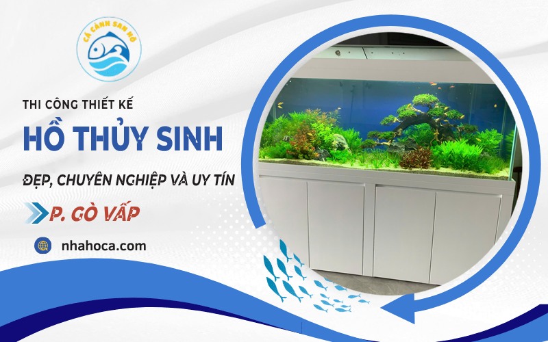 Hồ thủy sinh phường Gò Vấp