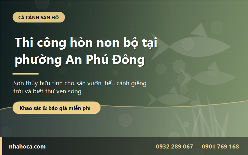 Thi công hòn non bộ tại phường An Phú Đông - tiểu cảnh sơn thủy cho sân vườn
