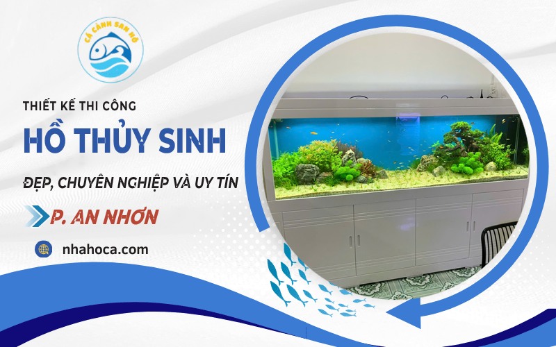 Thiết kế hồ thủy sinh phường An Nhơn