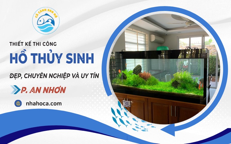 Hồ thủy sinh phường An Nhơn