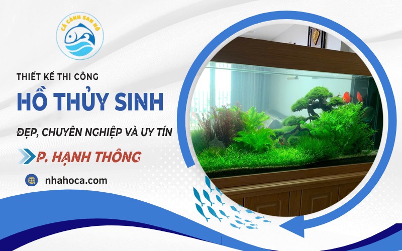 Thiết kế hồ thủy sinh phường Hạnh Thông
