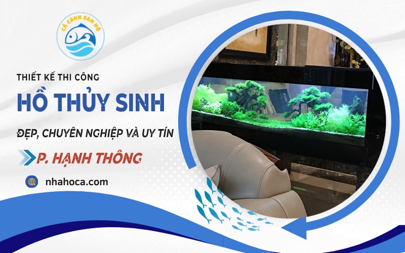Hồ thủy sinh phường Hạnh Thông
