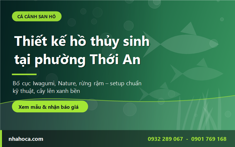 Thiết kế hồ thủy sinh tại phường Thới An - setup chuẩn kỹ thuật từ Cá Cảnh San Hô
