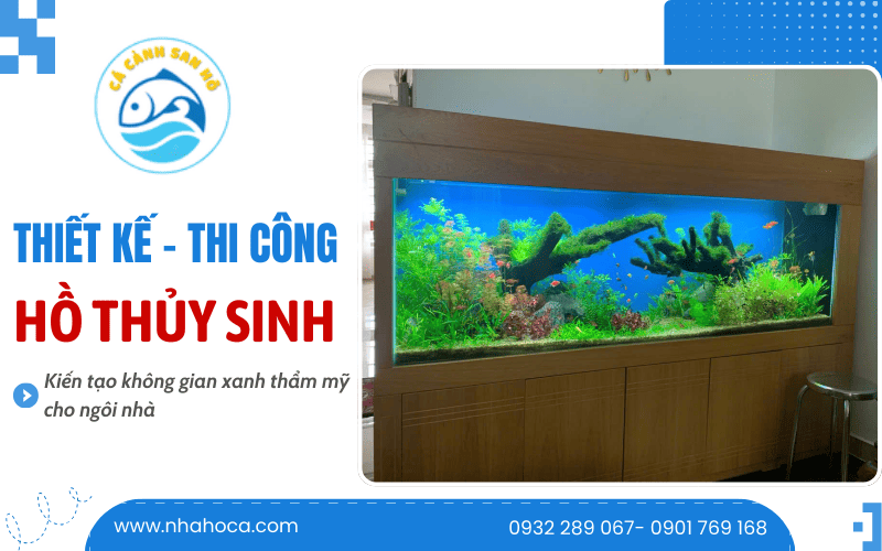Thiết kế thi công hồ thủy sinh