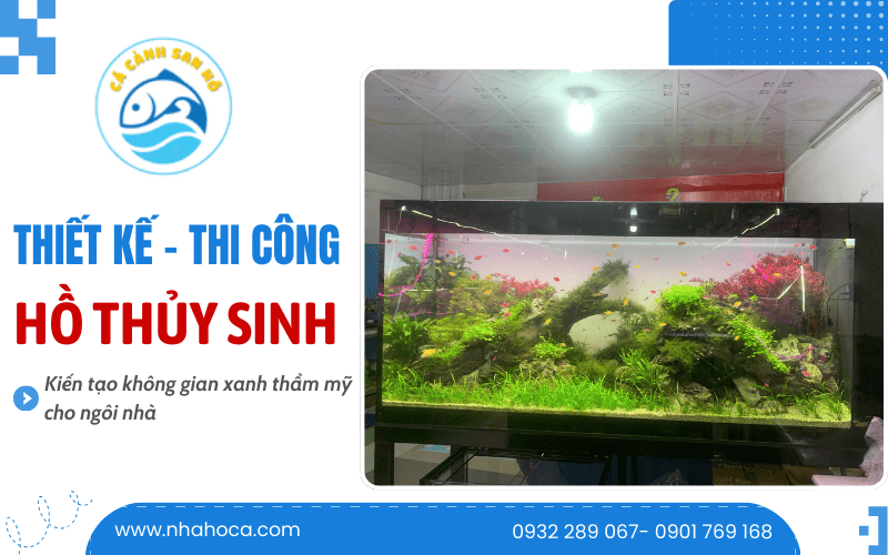 thiết kế thi công hồ thủy sinh