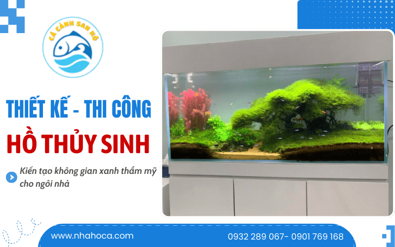 thiết kế thi công hồ thủy sinh