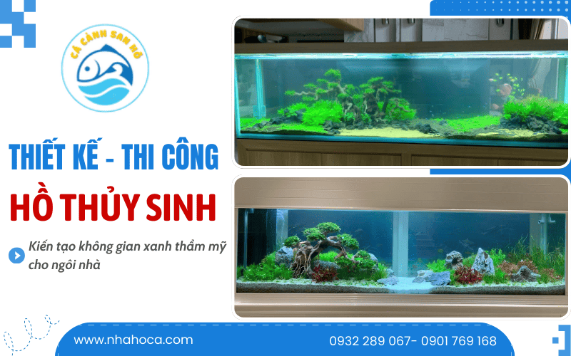 thiết kế thi công hồ thủy sinh
